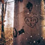 探索优发国际官方平台网的多样化游戏选择与优惠活动 52sw7d