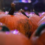 探索乐虎国际官方网唯一的多样化游戏选择与优惠活动 5g769zg0h