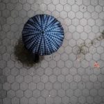 探索久赢国际的成功秘诀与发展前景分析 5gzmdvb19q