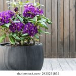 诚信娱乐官网:打造安全可靠的在线娱乐平台体验 kbli5p95u