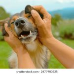 探索乐8娱乐首页:丰富娱乐内容与精彩活动一网打尽 xnsw65dj2j